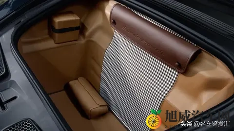 保时捷推出全新Sonderwunsch定制版911 GT3 “豹猫”-1