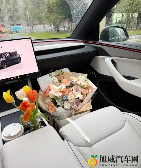 特斯拉交付Model Y L浅灰内饰 车主：太好看了，宁愿选装-1