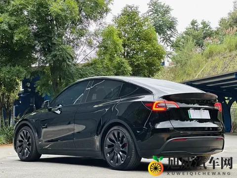 22年特斯拉Model Y：61万公里，高性能版，电车加速天花板？-3