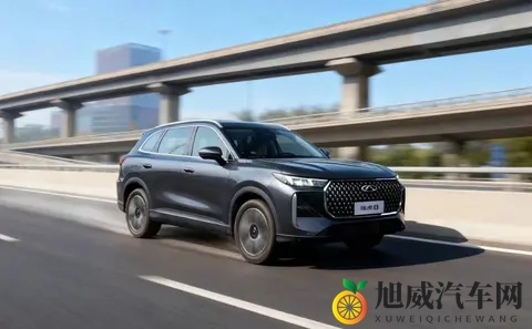 提供两种前脸、内饰选择，第五代瑞虎8预售1059万起-3