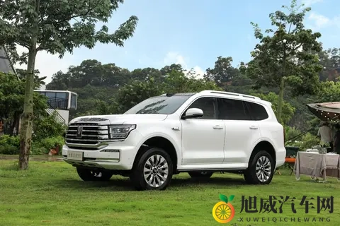 谁才是国内“越野一哥”?坦克、方程豹、猛士10月销量出炉-2