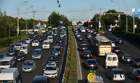 驾校教练骂爆的操作：手动挡3档起步？车没动先废半条命！-3