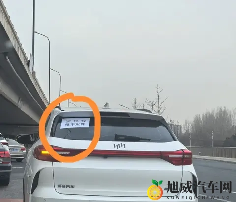 天天干天天舔：日复一日，甘之如饴的执着追求-3