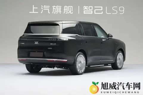 3369万硬刚问界M9！智己LS9预售爆单8000辆，2000TOPS算力封神？-3