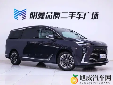 25款别克GL8陆尊：准新一手车，宜商宜家好选择-2