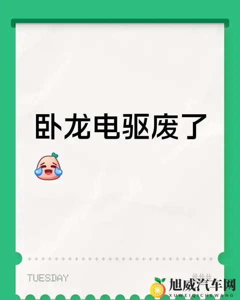 “卧龙电驱废了”？这波调整里，藏着行业和公司的真问题-1