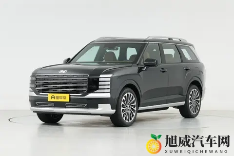 进口身份,家用大空间,体验新一代现代帕里斯帝,值得买吗?-3