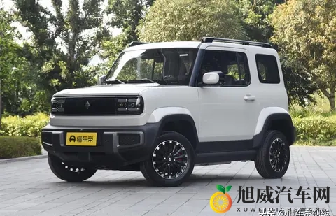 宝骏悦也两周年版将临，纯电小车市场震荡-1