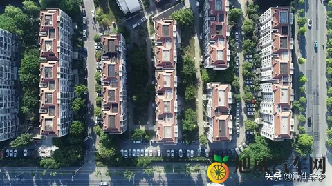 翘臀后进：颠覆传统设计，全新车型引领时尚潮流-1