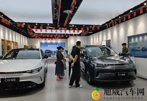 零跑未来新车规划,D系列和A系列全面出击-1