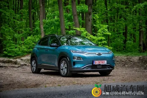 澳大利亚最好的电动汽车-3