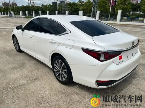 激萌导航：可爱路线指南，轻松导航新体验-3