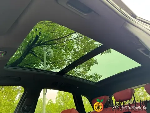 奥迪SQ5四十几万落地却乏人问津 燃油情怀撞上新能源浪潮全记录-3