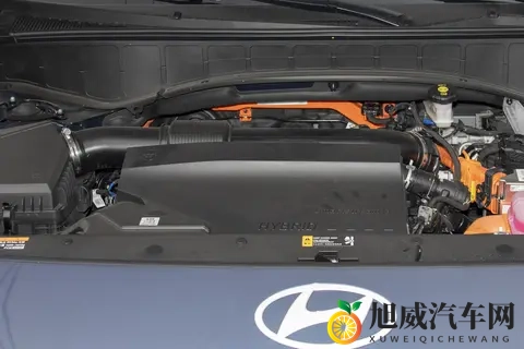 2026 帕里斯帝尊贵版试驾:性价比 “王炸” 名不虚传?-2