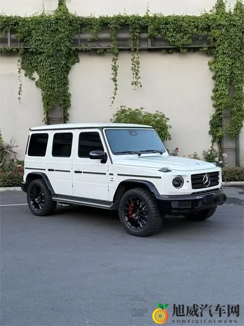 奔驰大G原厂20寸轮毂升级改装G63原厂AMG刹车卡钳6活塞批发代理-2