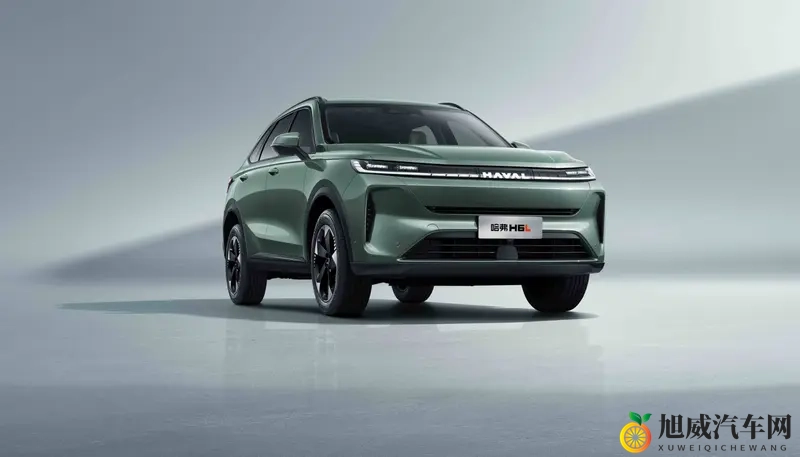 再创一个新神话,哈弗H6L 1039万起越级上市-1