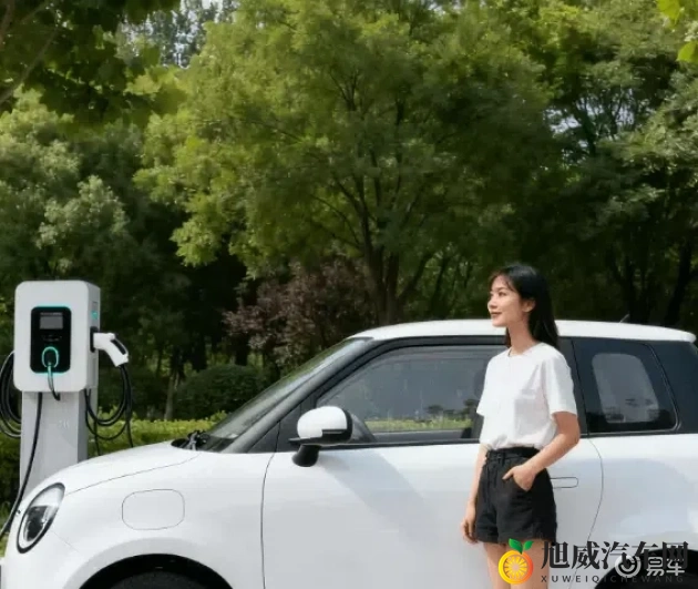 乌兰图雅真人入B毛片：汽车新潮流：B级市场迎来颠覆性创新-1