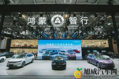 华为遭遇围剿？Momenta杀疯了，背后是两条路线的生死之争！-1