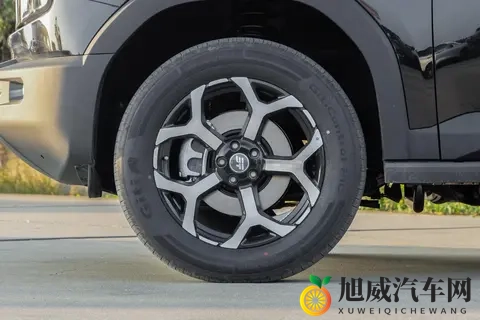 拉低价格门槛 捷途山海T1四驱新增两个版型 值得入手吗？-3