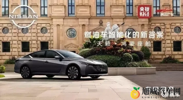 18岁禁止入内：新规出台：年轻驾驶员安全意识提升在行动-1