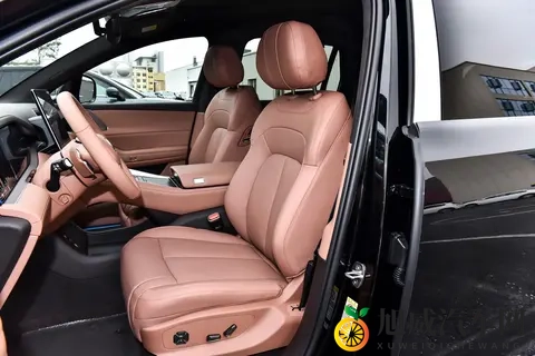 这车太不像话了!腾势N8L,30万级,竟然能让全家座位都是VIP?-3