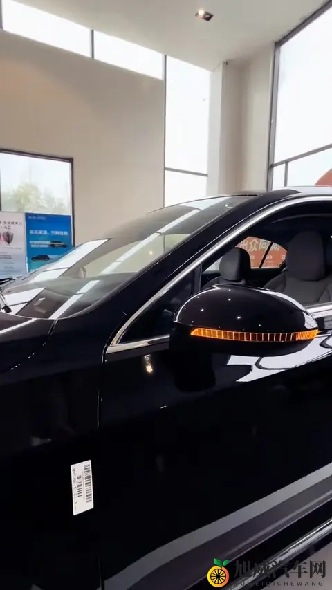 用注水器打水免费处罚软件下载:汽车智能助手:免费软件助你避罚安心驾驶-2