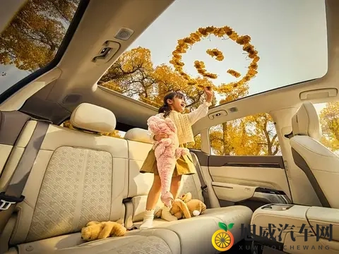 毛多浓密Hairy高清:汽车内饰革新,新型材质亮相!-3