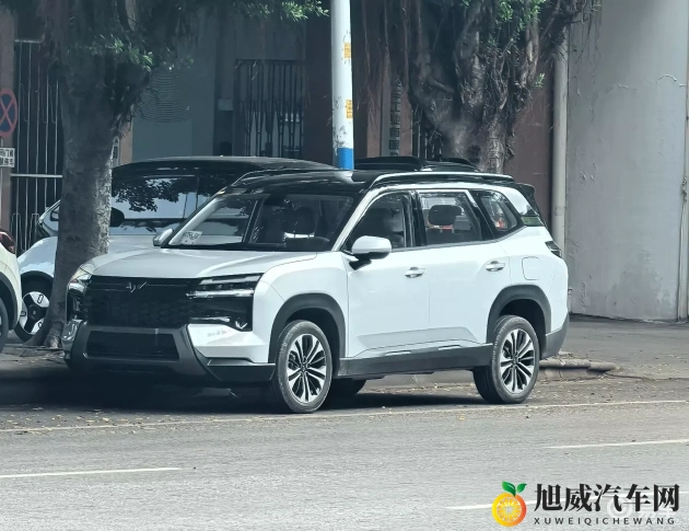 黄色软件下载3.0.3每天无限次破解版:汽车辅助软件破解版揭秘:免费功能大揭秘-2