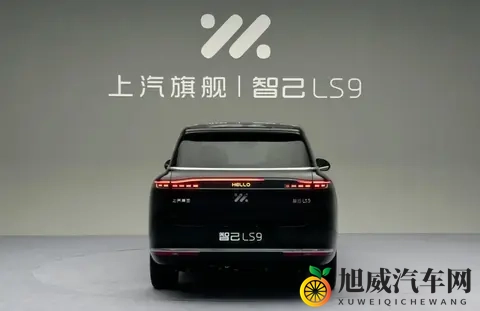 25分钟大定突破5000台，智己LS9能从问界手里抢订单吗？-3