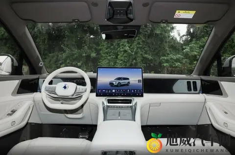 自述巴厘岛被技师进入：巴厘岛技师惊险“入”车，维修店紧急应对-3