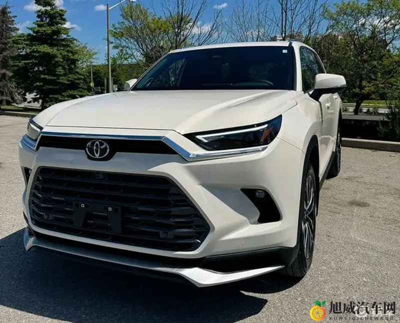 菠萝菠萝蜜网站:新能源崛起,智能驾驶时代来临-1