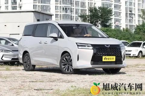 五菱星光730：10万级大七座全家满意，亲民价格真实在！-2