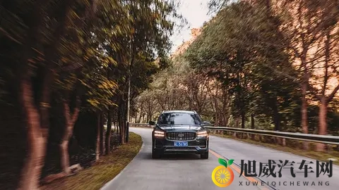 别再问路上不认识的车标了，那是车企的“攻心术”！-3