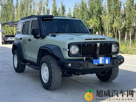 一手准新坦克300铁骑02：圆你硬派越野梦-3