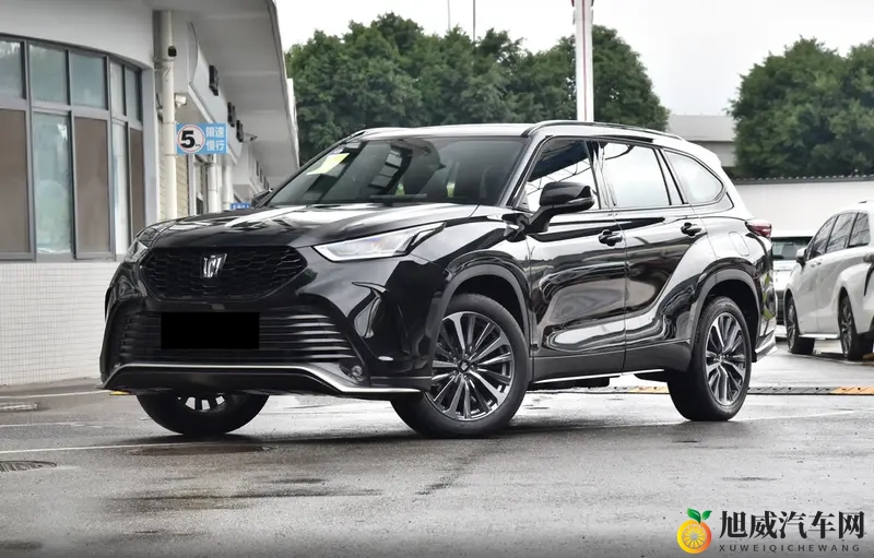 这车购车手册来了，同等价位下，纯燃油、油电混动选哪个？-1