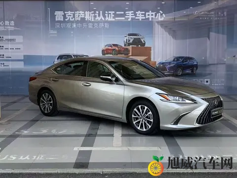 娘在狗子背上用手写到：母亲在狗狗背上以手书写记-3