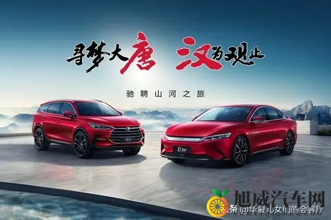 为啥我国新能源汽车能遥遥领先?网友:多亏民族企业争气才弯道超车-1