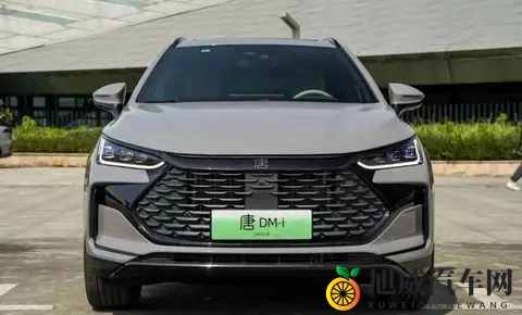 中型SUV别瞎买！1-9月销量排名：途观L亚军、宋L第5，汉兰达第15-2