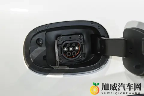 主人抽打花蒂sm：花蒂遭受主人严厉鞭打，SM情调浓烈-2