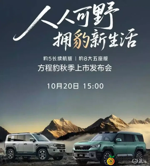 十大禁用黄：汽车环保新动向：揭秘禁用污染技术，绿色出行未来已来-3