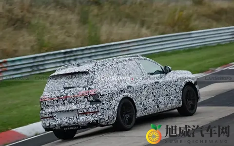 奥迪Q9要来了,剑指奢华这事,大家怎么看-3