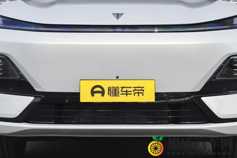 深蓝S09四驱Ultra+高定版：价格与配置适配性分析-3