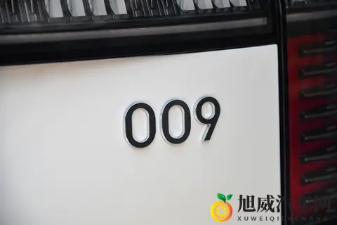 极氪 009：豪华 MPV 选购参考，十一月推出限时购车权益-2