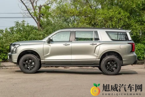 能拉货能越野，价格是坦克300的一半，配20T+8AT，分时四驱-3