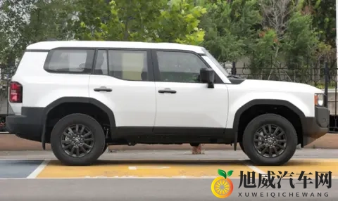 越野世家的新对话：福特烈马荒地版对比丰田普拉多-2