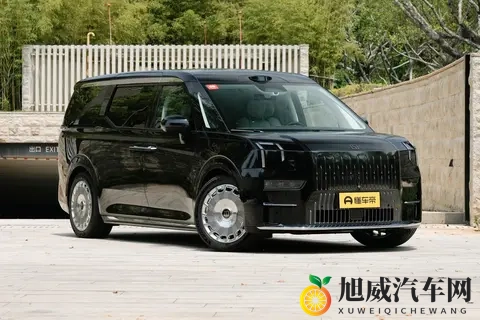 宜商宜家的豪华 MPV新选择！试驾极氪009，11月促销再添新动力-1