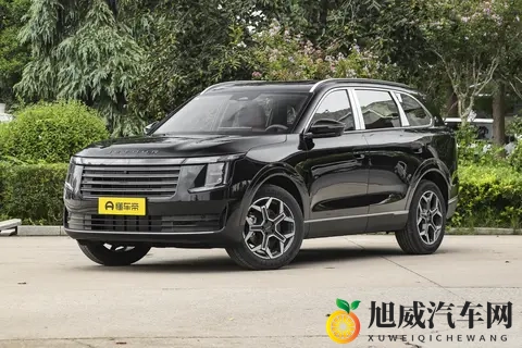 10万级大七座SUV，999万起售，安全舒适不将就！-1