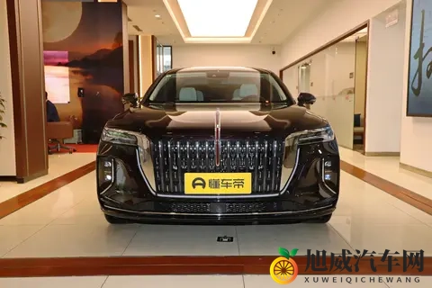 红旗H9:20T的4款车型,哪款更值得选?-2