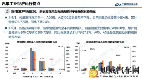 糟老头app：岁月痕迹老年生活助手-2