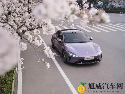 丰满少妇被猛烈进出：风韵成熟女子激情缠绵夜-2